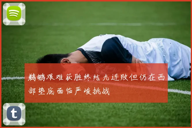 鹈鹕艰难获胜终结九连败但仍在西部垫底面临严峻挑战