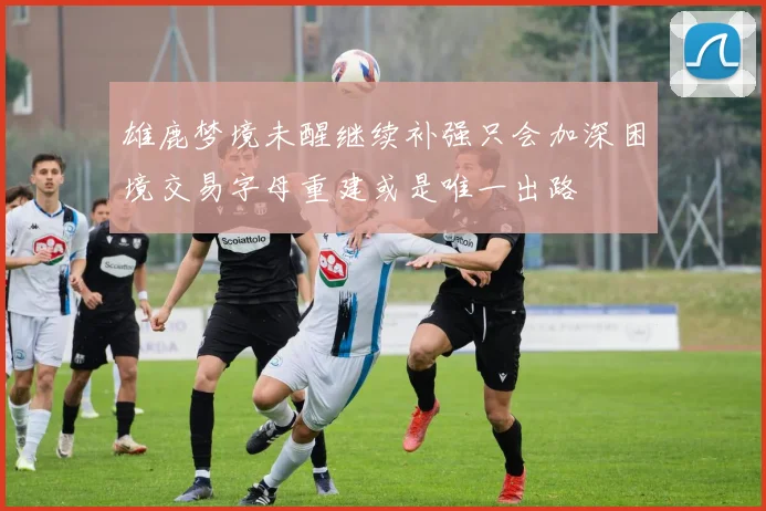 雄鹿梦境未醒继续补强只会加深困境交易字母重建或是唯一出路