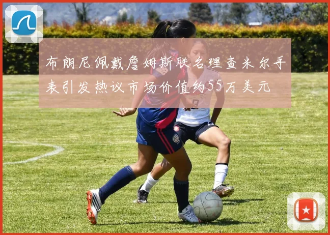 布朗尼佩戴詹姆斯联名理查米尔手表引发热议市场价值约55万美元