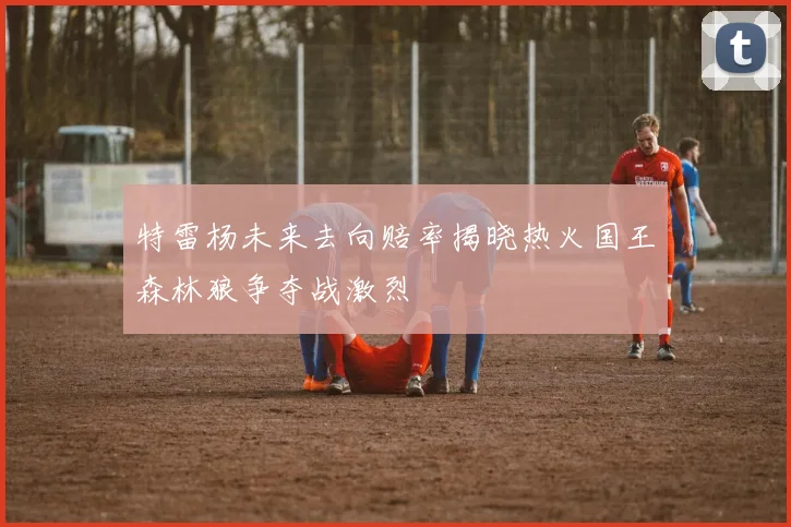 特雷杨未来去向赔率揭晓热火国王森林狼争夺战激烈