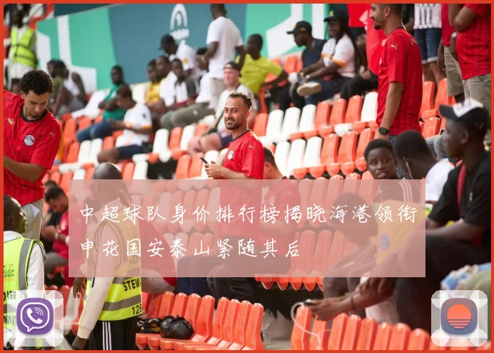 中超球队身价排行榜揭晓海港领衔申花国安泰山紧随其后